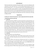 Thuế tiêu thụ đặc biệt và Thực trạng áp dụng pháp luật thuế tiêu thụ đặc biệt ở Việt Nam hiện nay