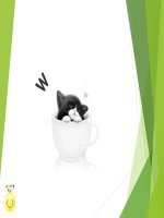 đối chiếu từ đồng âm trong tiếng việt và tiếng anh