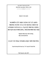 Nghiên cứu, khả năng xử lý Asen trong nước của cây Ráng chân xỉ  tại Xã Trung Châu, Huyện Đan Phượng, Thành Phố Hà Nội