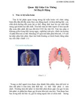 Quan hệ giữa các thông số huyết động