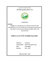 Nghiên cứu ảnh hưởng của chế độ tưới nước đến sinh trưởng của cây sa mộc dầu (cunninghamia konishii hayata) giai đoạn vườn ươm tại trường đại học nông lâm thái nguyên 