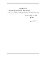 Tăng cường thu hút vốn đầu tư trực tiếp nước ngoài (FDI) từ singapore vào việt nam  