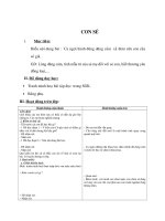 giáo án tập đọc lớp 4 CON sẻ