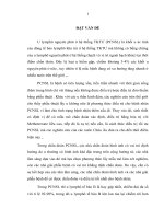 nghiên cứu đặc điểm mô bệnh học và hóa mô miễn dịch ulmypho ac tinh khong hokin nguyen phat