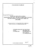 Đánh giá một số tác động ảnh hưởng tới việc giữ gìn và phát huy văn hóa truyền thống các dân tộc thiểu số