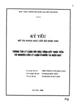 Thông tin lý luận với việc tổng kết thực tiễn và nghiên cứu lý luận ở nước ta hiện nay