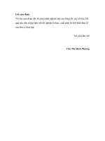 Tăng cường thu hút đầu tư trực tiếp nước ngoài FDI vào lĩnh vực giáo dục THPT tại việt nam 