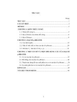 ĐẠI SỐ BRAUER VÀ MỘT SỐ ỨNG DỤNG CHO ĐAI SỐ ĐỒ THỊ