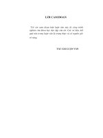 Luan van giải pháp nâng cao hiệu quả hoạt động sản xuất kinh doanh tại công ty cổ phần phát triển đô thị từ liêm