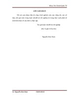 Giải pháp tăng cường thu hút và nâng cao hiệu quả sử dụng FDI vào địa bản tỉnh bình định 