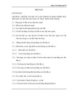 Nâng cao hiệu quả hoạt động xúc tiến đầu tư nhằm tăng cường thu hút đầu tư trực tiếp nước ngoài vào tỉnh bắc ninh 