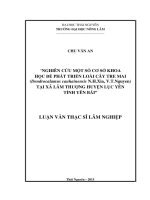 Nghiên cứu phát triển loài cây Tre mai tại xã Lâm Thượng huyện Lục Yên tỉnh Yên Bái