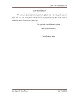 Giải pháp tăng cường thu hút và nâng cao hiệu quả sử dụng FDI vào địa bàn tỉnh bình định 