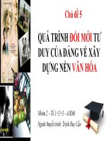 QUÁ TRÌNH ĐỔI MỚI TƯ DUY CỦA ĐẢNG VỀ XÂY DỰNG NỀN VĂN HÓA