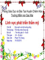 tìm hiểu một số loại cây