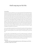 Chuỗi cung ứng của việt tiến