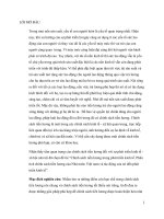 Chính sách tiền lương trong phát triển kinh tế