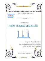 tiểu luận nhiệt học hiện tượng mao dẫn