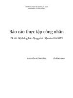 Báo Cáo Thực Tập Công Nhân - Hệ Thống Báo Động Phát Hiện Rò Rỉ Khí GAS