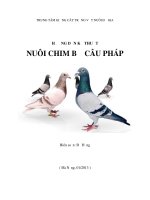 Hướng dẫn kỹ thuật nuôi chim bồ câu Pháp