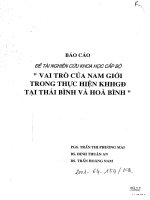 Vai trò của nam giới trong thực hiện KHHG đ tại thái bình và hòa bình
