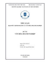 Tiểu luận môn đạo đức kinh doanh và văn hóa doanh nghiệp đề tài văn hóa doanh nghiệp