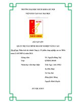 Đề án phân tích tài chính công ty cổ phần công nghiệp cao su miền nam (CASUMINA) năm 2014