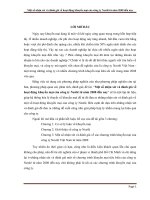 Một số nhận xét và đánh giá về hoạt động khuyến mại của công ty nestlé từ năm 2008 đến nay