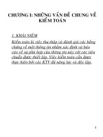 Lý thuyết kiểm toán ĐH kinh tế