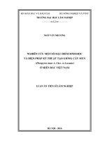 Nghiên cứu một số đặc điểm sinh học và biện pháp kỹ thuật tạo giống cây mun ở miền bắc việt nam