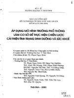 Áp dụng mô hình trường phổ thông làm cơ sở để thực hiện chiến lược cải thiện tình trạng dinh dưỡng và sức khỏe