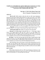 NGHIÊN CỨU TÌNH HÌNH MẮC BỆNH NHIỄM KHUẨN HÔ HẤP CẤP TÍNH VÀ MỘT SỐ YẾU TỐ LIÊN QUAN Ở TRẺ EM DƯỚI 5 TUỔI TẠI HUYỆN CHÂU THÀNH TỈNH TRÀ VINH