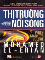 Thị Trường Nổi Sóng  Mohamed A. El  Erian