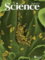 Science   december 11th 2009 6404