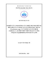 Nghiên cứu ảnh hưởng của nhiệt độ thấp đến sự biến đổi của vi sinh vật gây hỏng đặc trưng (pseudomonas spp ) và vi sinh vật gây bệnh (coliform, e coli) hiện diện trên fillet cá tra (pangasius hypophthalmus) bảo quản lạn