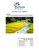 tiểu luận khoa khách sạn du lịch  tìm hiểu hoạt động kinh doanh du lịch tại tỉnh ninh bình