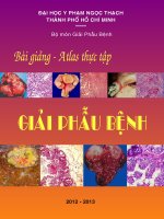 BÀI GIẢNG ATLAS THỰC TẬP GIẢI PHẪU BỆNH