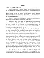 KHAI THÁC DU LỊCH MÙA NƯỚC NỔI Ở TỈNH AN GIANG