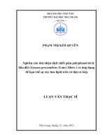 Nghiên cứu thu nhận dịch chiết giàu polyphenol từ lá bầu đất (gynura procumbens (lour) merr ) và ứng dụng để hạn chế sự oxy hóa lipid trên cơ thịt cá bớp