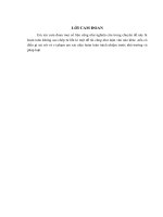 Vai trò của ngành du lịch trong nèn kinh tế và biện pháp phát triển bền vững du lịch việt nam