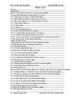 Báo cáo thực tập tốt nghiệp phân tích tình hình tài chính kế toán của doanh nghiệp công ty cổ phần tiên đồng 