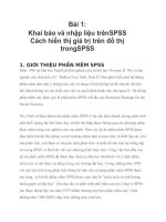 Bài 1 khai báo và nhập liệu trên SPSS cách hiển thị giá trị trên đồ thị trong SPSS