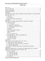 Đề án bảo vệ môi trường kho nông dược cần thơ