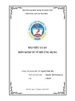 Tiểu luận môn kinh tế vĩ mô ứng dụng chính sách tiền tệ ở việt nam hiện nay 