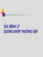 CÁC BỆNH LÝ XƯƠNG KHỚP THƯỜNG GẶP