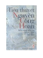 bộ ba tiểu thuyết hỗn canh hỗn cư cái thủ lợn  nơ nần của nguyễn công hoan