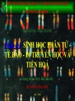 BÀI GIẢNG THỰC HÀNH , Phần A1: SINH HỌC PHÂN TỬ - TẾ BÀO - DI TRUYỀN HỌC VÀ TIẾN HOÁ