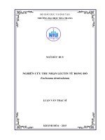Nghiên cứu thu nhận lectin từ rong đỏ eucheuma denticulatum