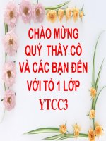 BÁO CÁO NHÓM - CẢM GIÁC