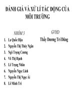 Bài thuyết trình đánh giá và xử lí tác động của môi trường